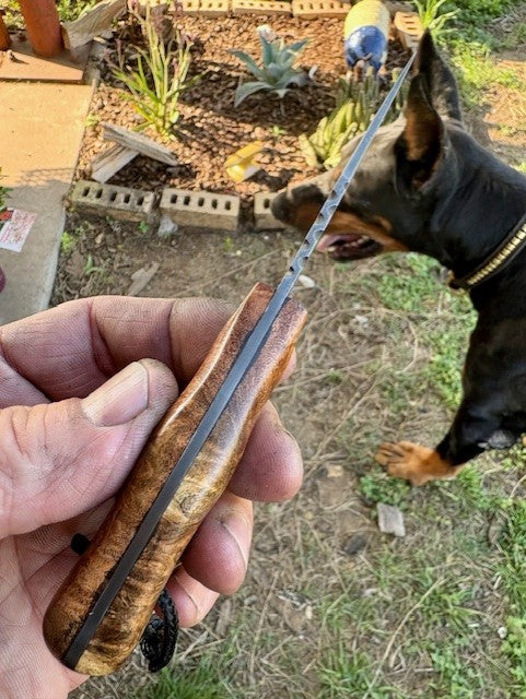 Mesquite Belt Knife