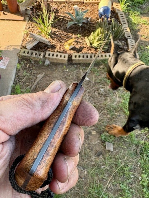 Mesquite Belt Knife