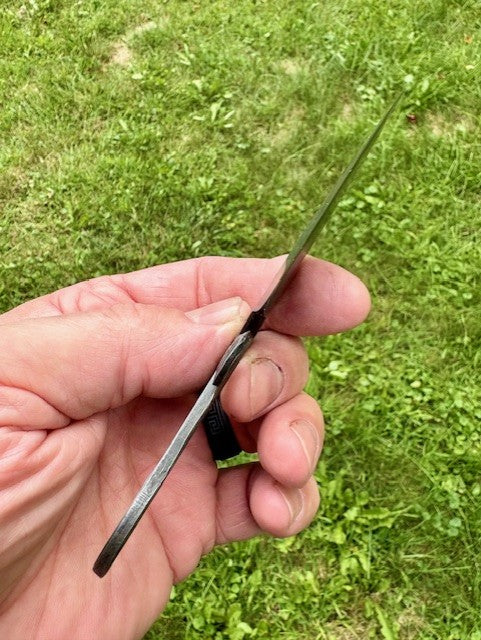 Squirrel-tail Necker