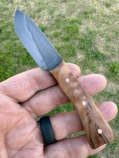 The Spalted Road-Runner