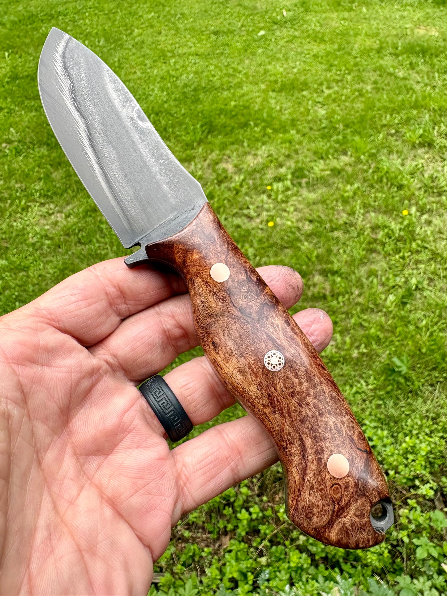 Tejas Ranch Knife in Mesquite Burl