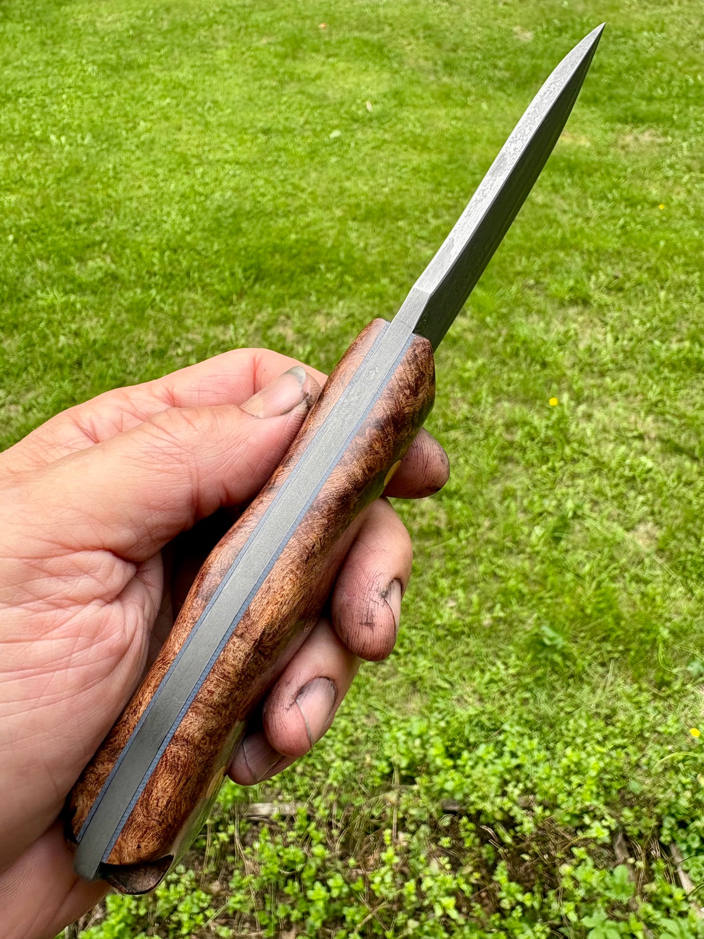Tejas Ranch Knife in Mesquite Burl