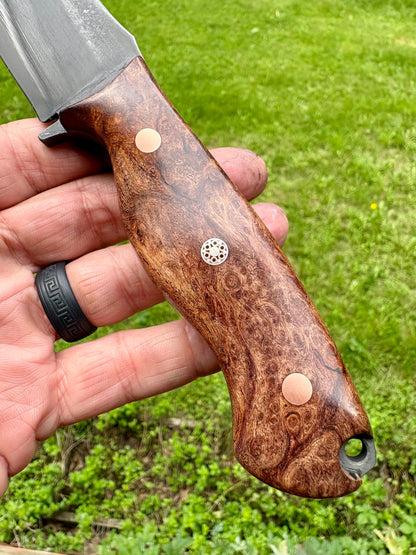 Tejas Ranch Knife in Mesquite Burl