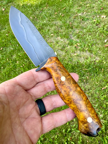 Tejas Ranch Knife in Chittum Burl