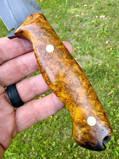 Tejas Ranch Knife in Chittum Burl