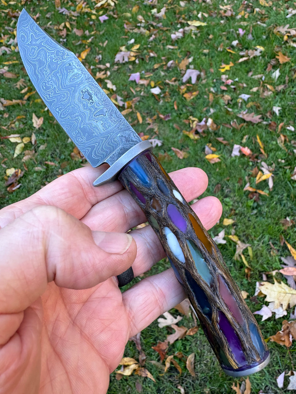 The Carnival Glass Hunter