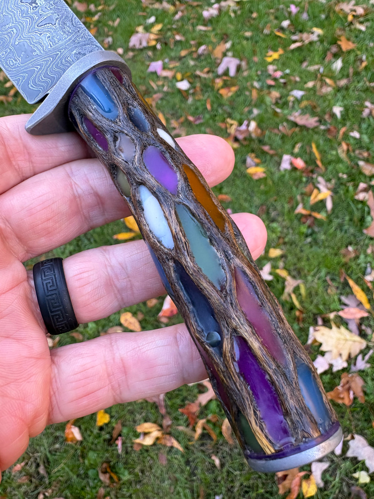 The Carnival Glass Hunter