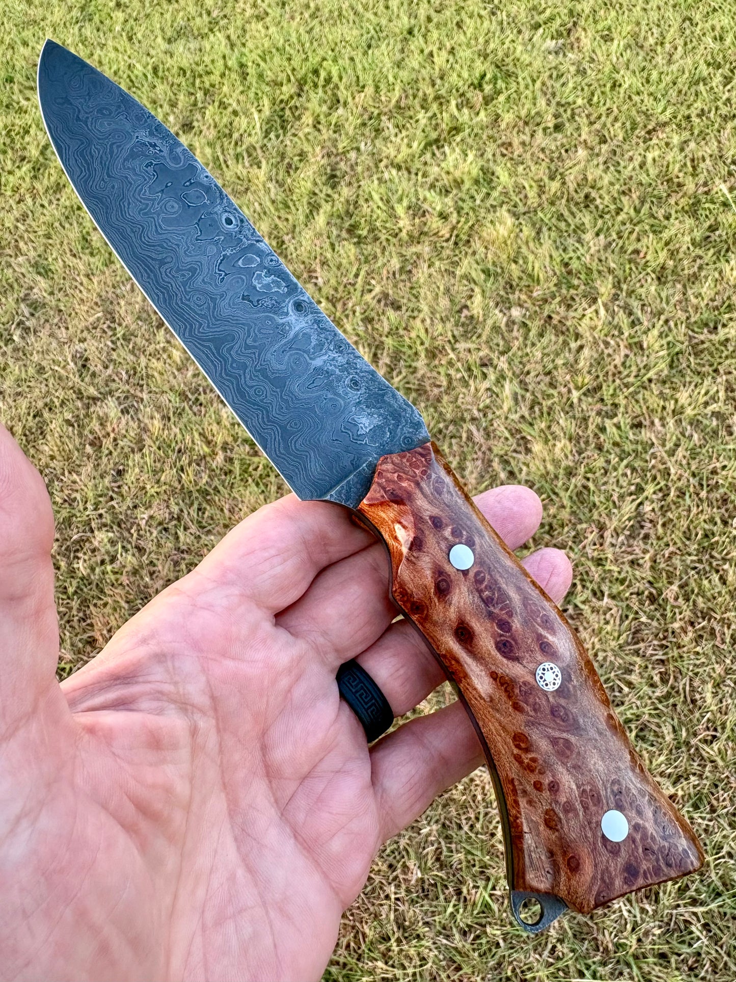 Spots Before My Eyes - Fighter/Field Knife