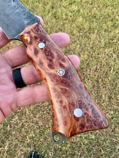Spots Before My Eyes - Fighter/Field Knife
