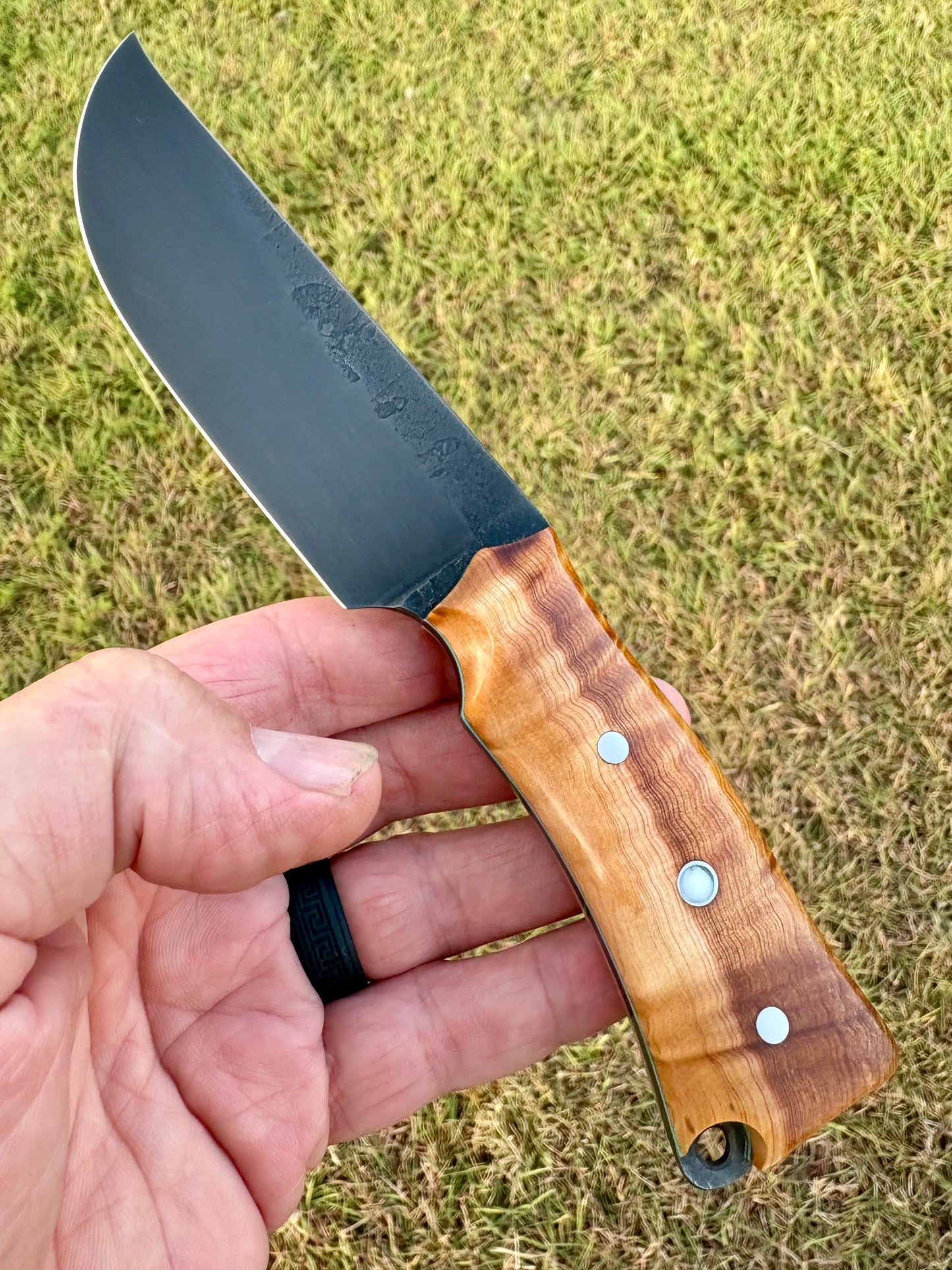 The Falcon - Belt/Utility Knife