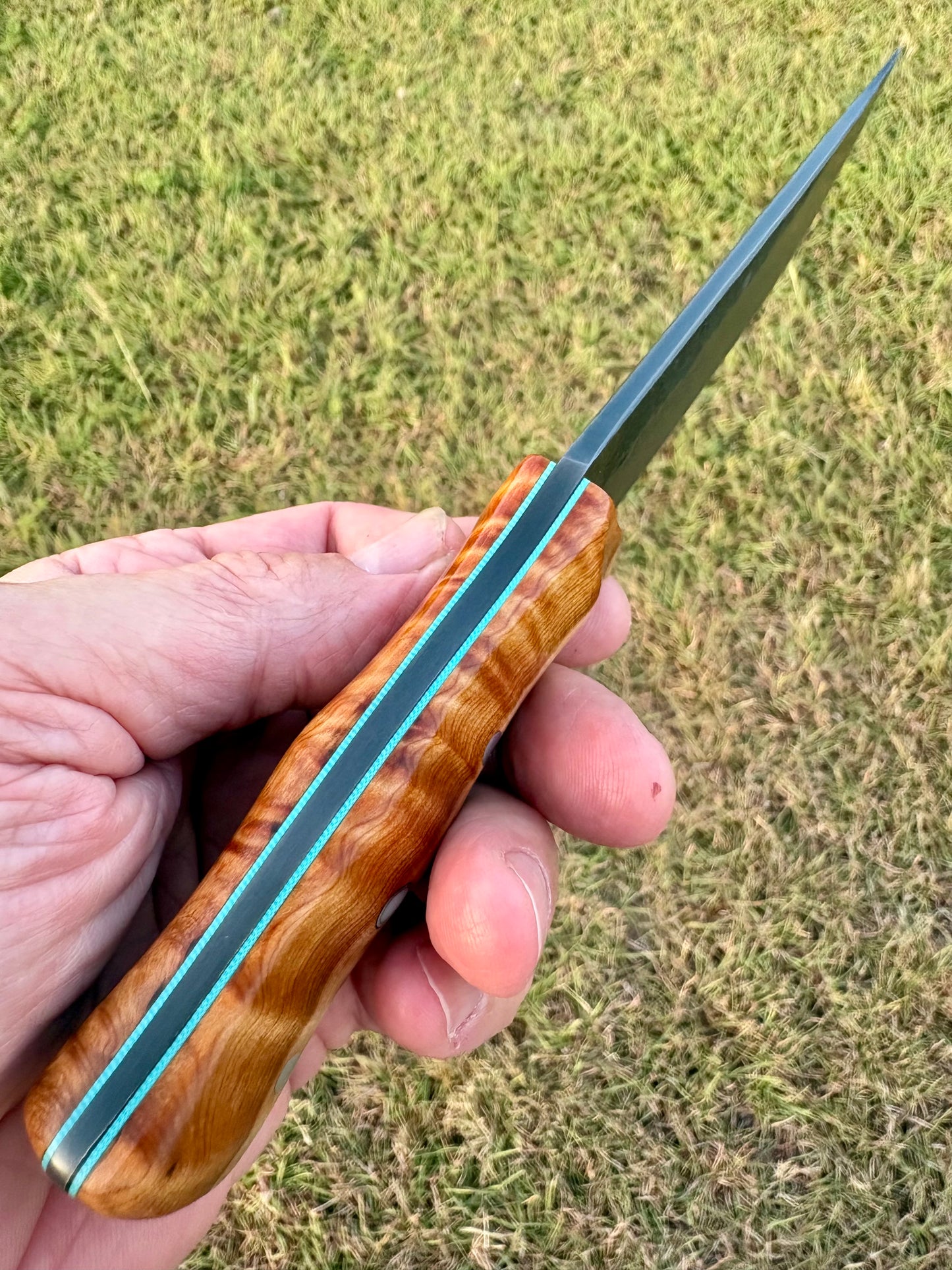 The Falcon - Belt/Utility Knife