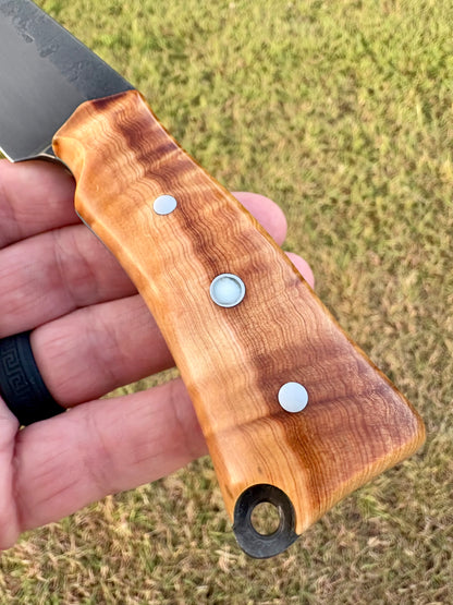 The Falcon - Belt/Utility Knife