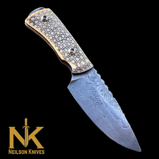 The Armadillo Belt Knife