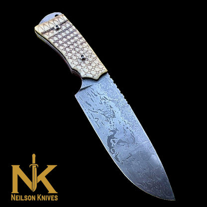 The Armadillo Hunter