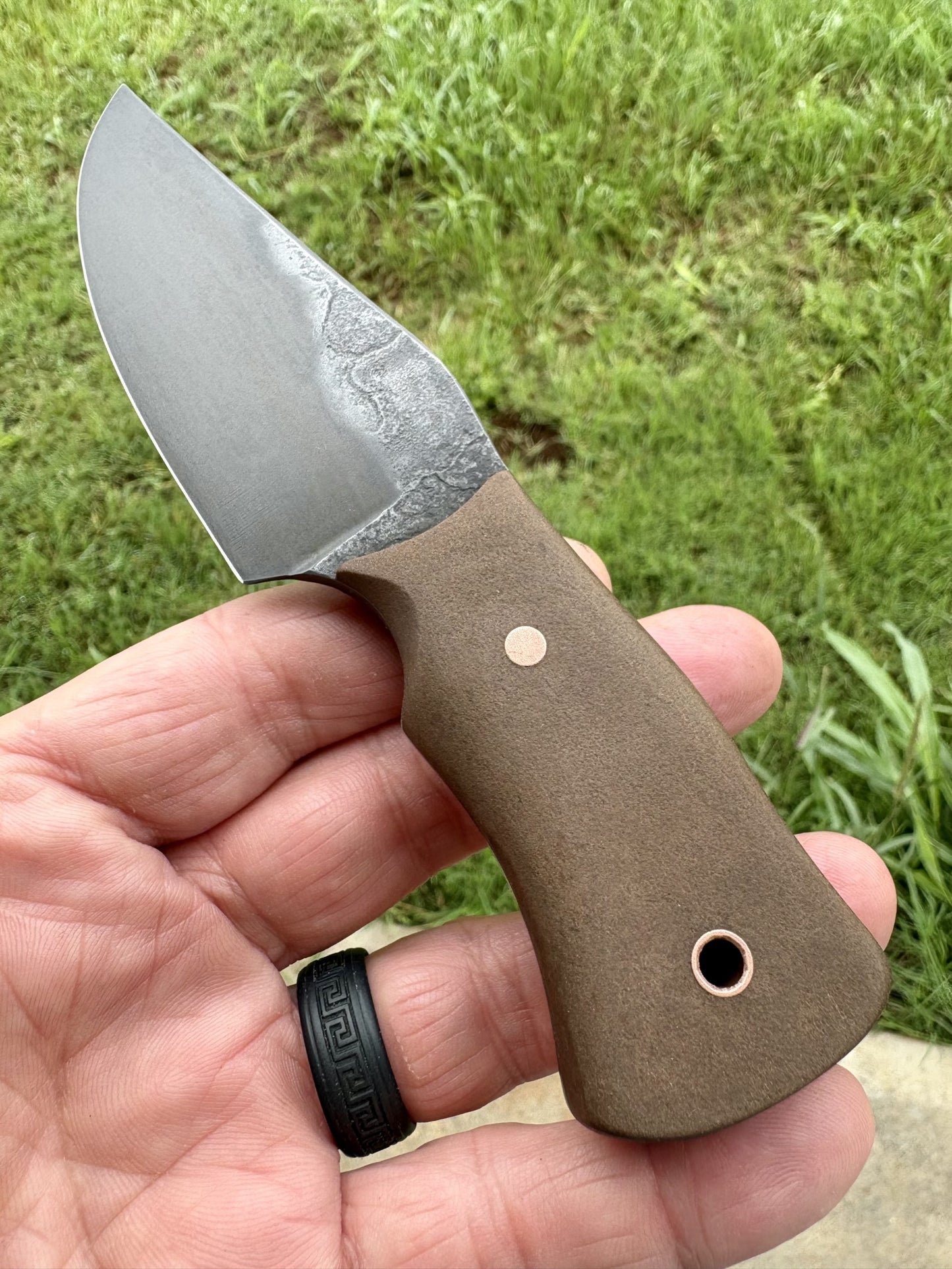 The Sand Rat