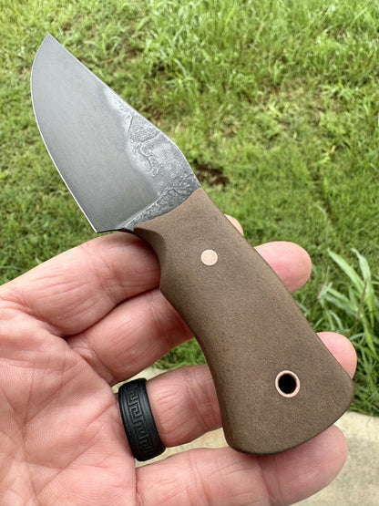 The Sand Rat