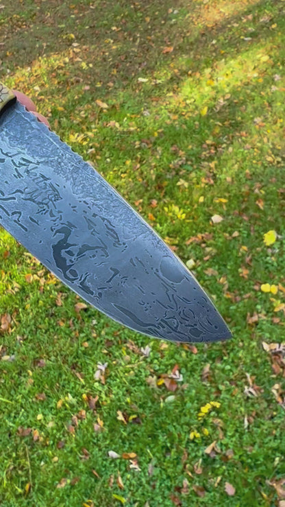 The Armadillo Hunter