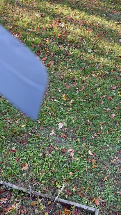 The Boss Squirrel-tail #2