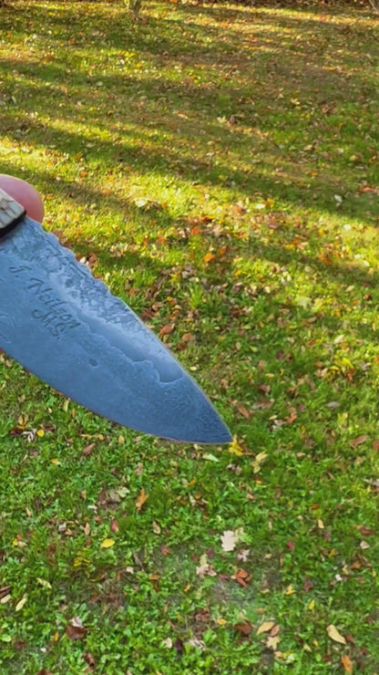 The Armadillo Belt Knife