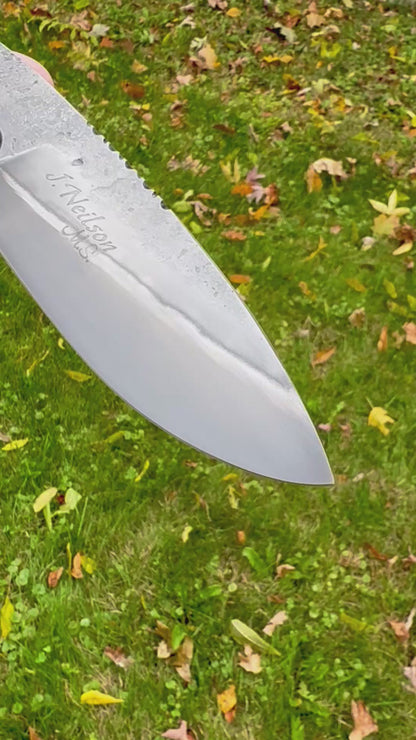 The Bitty Boss Squirrel-tail