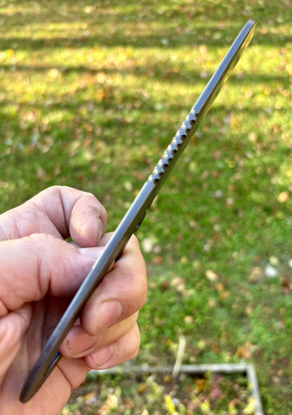 The Boss Squirrel-tail #2