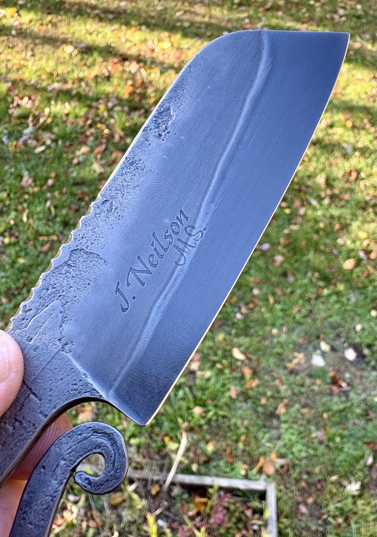 The Boss Squirrel-tail #2