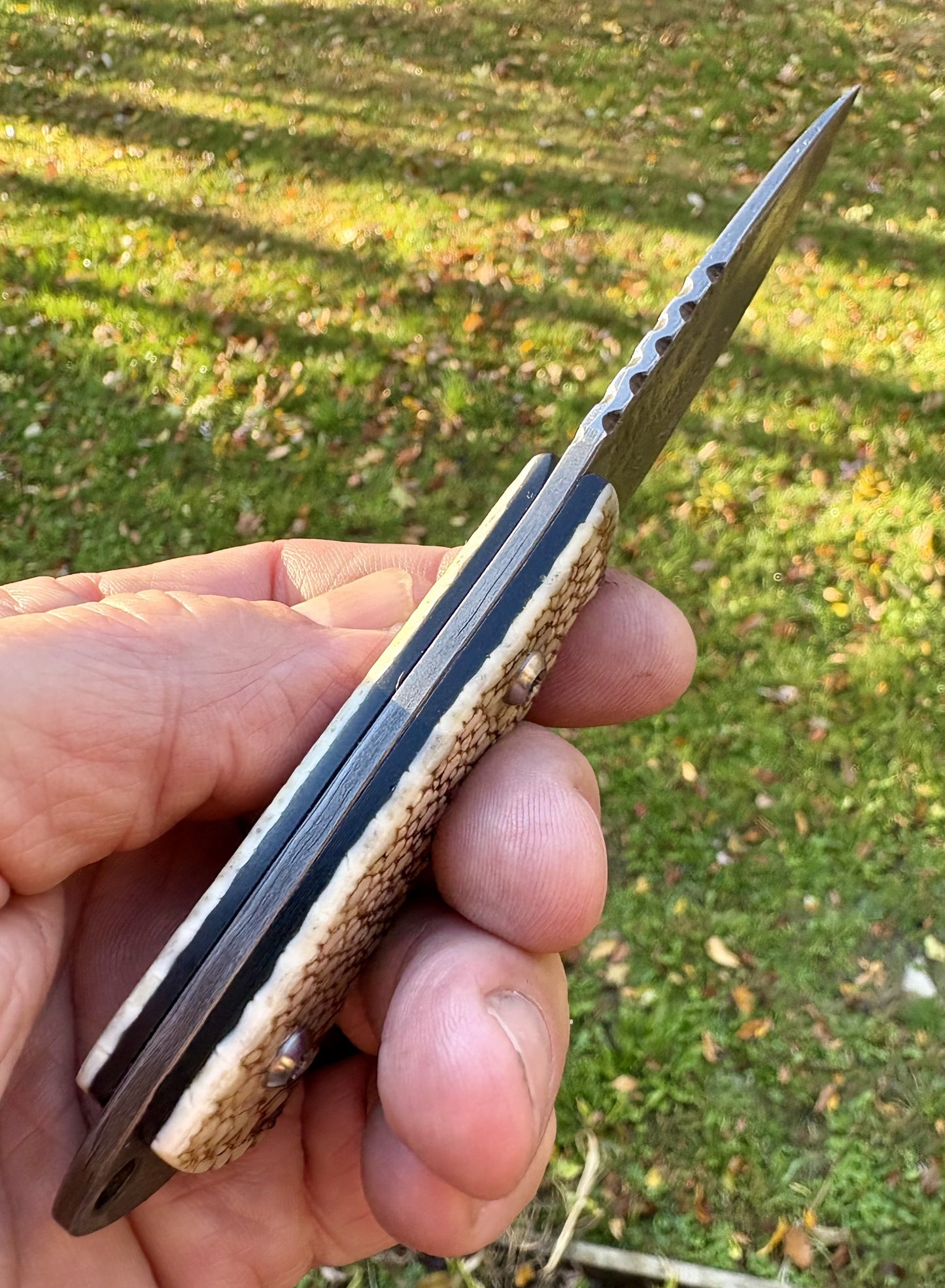 The Armadillo Belt Knife