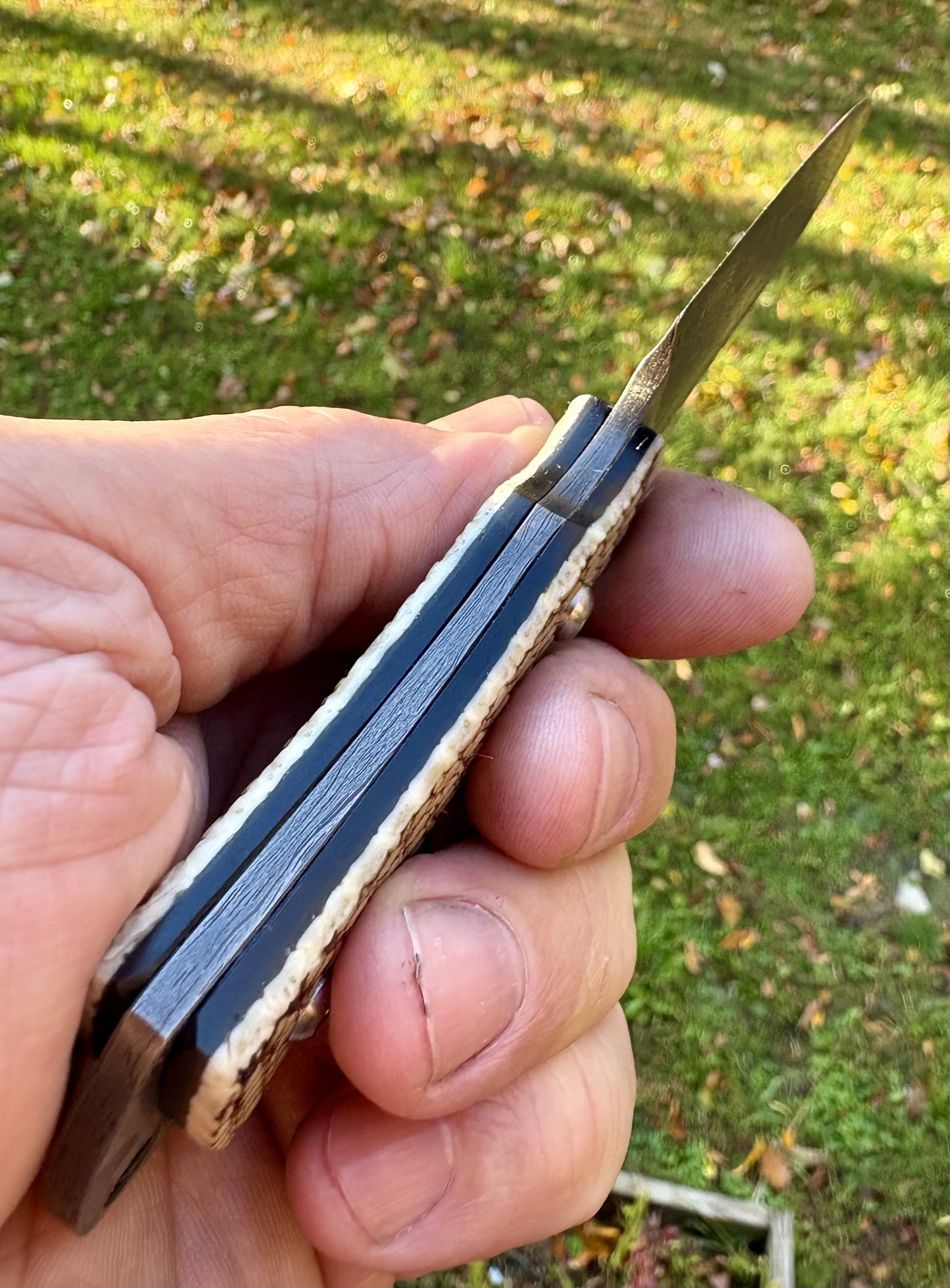 The Armadillo Belt Knife