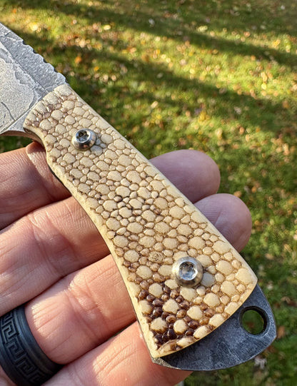 The Armadillo Belt Knife