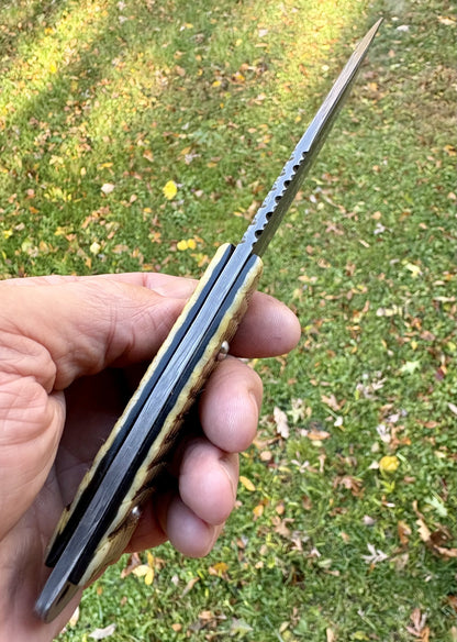 The Armadillo Hunter