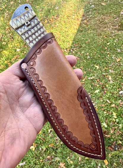 The Armadillo Hunter