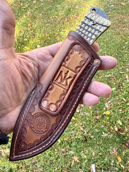 The Armadillo Hunter